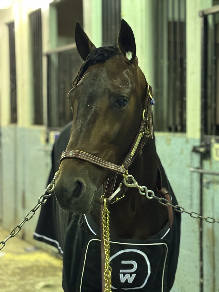 Vinnare lopp 11 Breeders Crown Fyraåriga H/V - Semifinal, Bullet the BlueSky!

Segertid: 12,4a 2140m
Ägare Stall SoFo 
Skötare: Carola Eklund