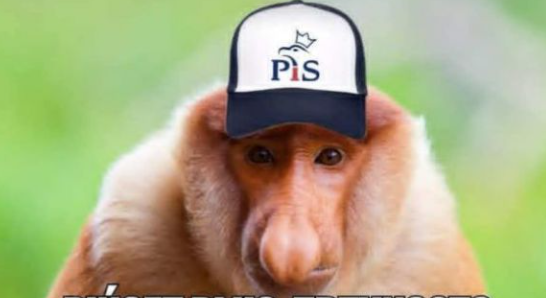 <a href="/Morgenstern616/">𝕸𝖔𝖗𝖌𝖊𝖓𝖘𝖙𝖊𝖗𝖓</a> Jak mógł "walec 13 grudnia" przejechać CPK... jak PiSowcy przejjebali kluczową działkę...?🤡