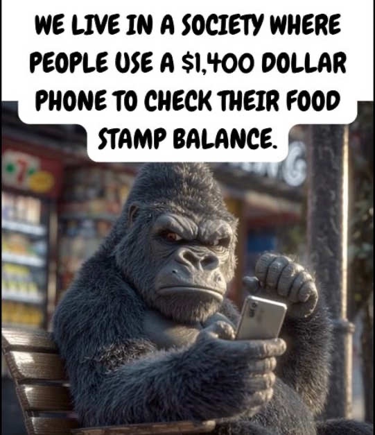 AmFirstMAGA2's tweet image. 