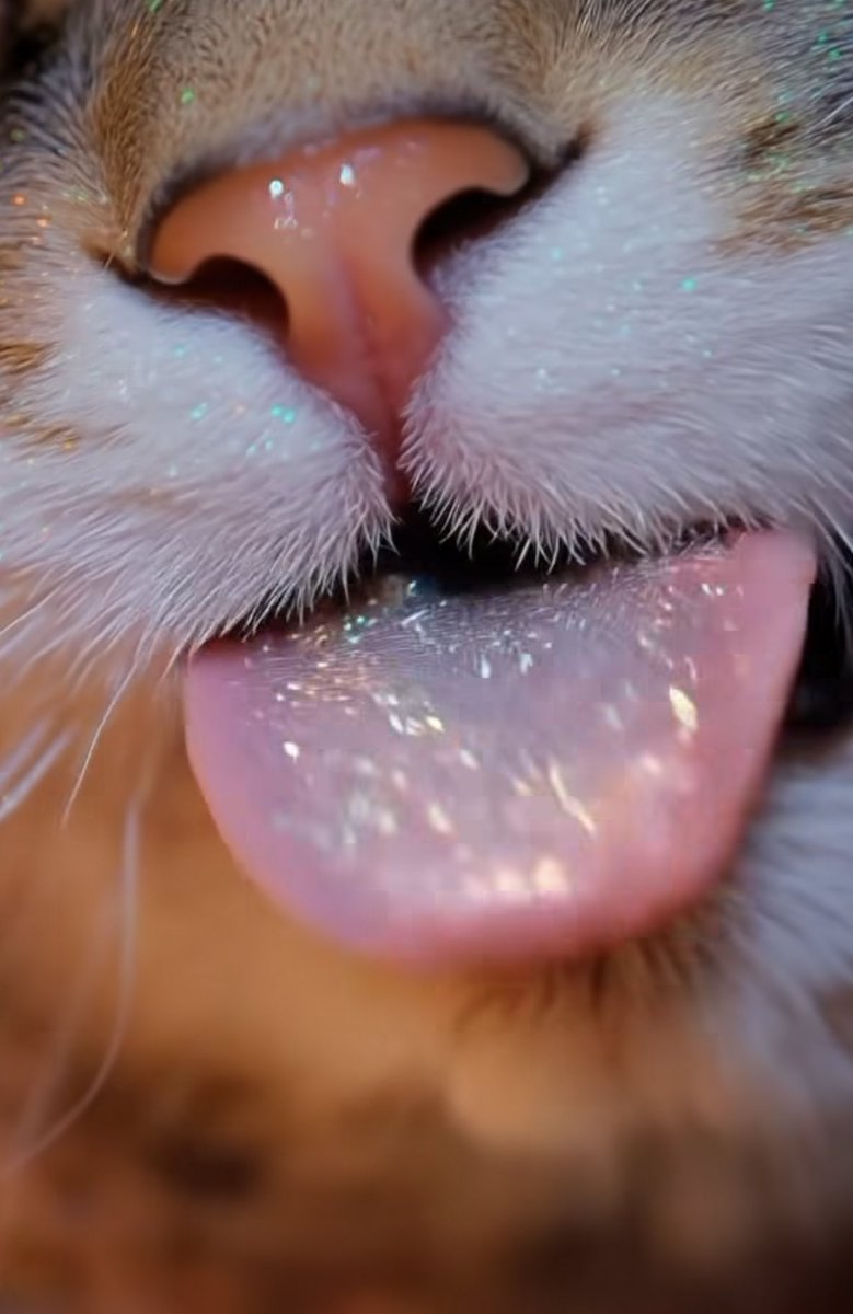 за Вас дорогие котики ☺️