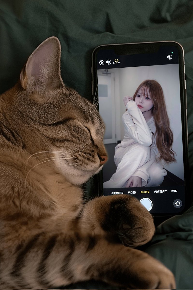 しばさん🐈🌼推し on X