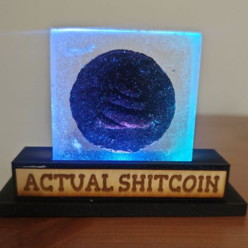 Actual Shitcoin (2025) by Shitoshi
Mixed media sculpture

In an era where value is dictated by virality and absurdity, Actual Shitcoin stands as a brutally honest monument to the spectacle of belief.

By transforming the slang of “worthless coins” into a tangible object, the work