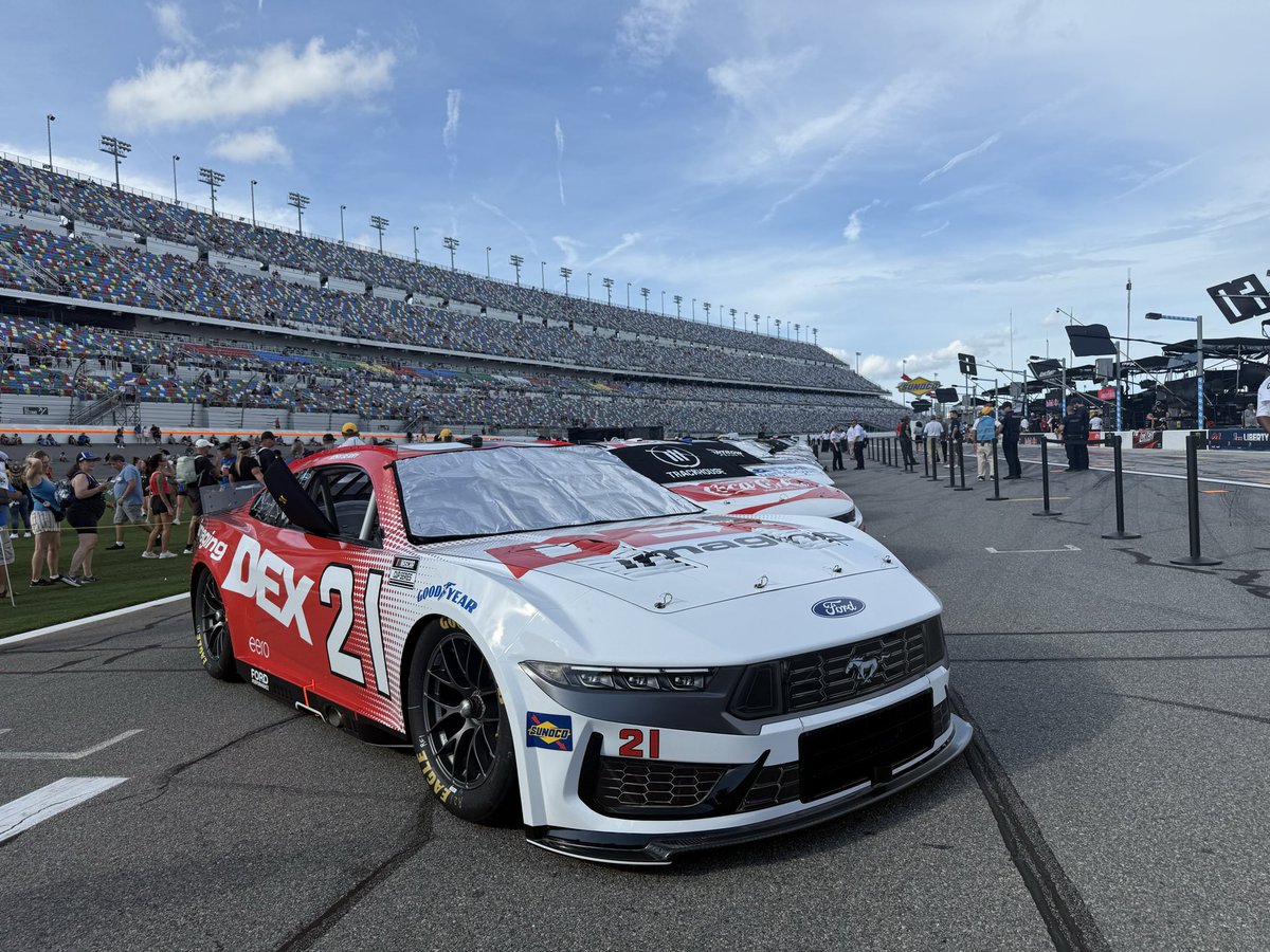 Mark Rosetti tweet media