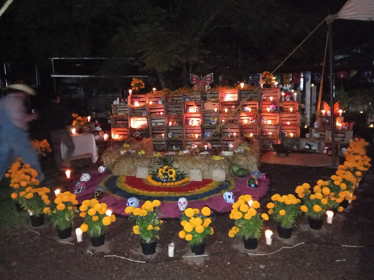 SethAlvarezG's tweet image. Extraño mucho a mi mami. #Temascaltepec #EdoMéx #DiaDeMuertos
