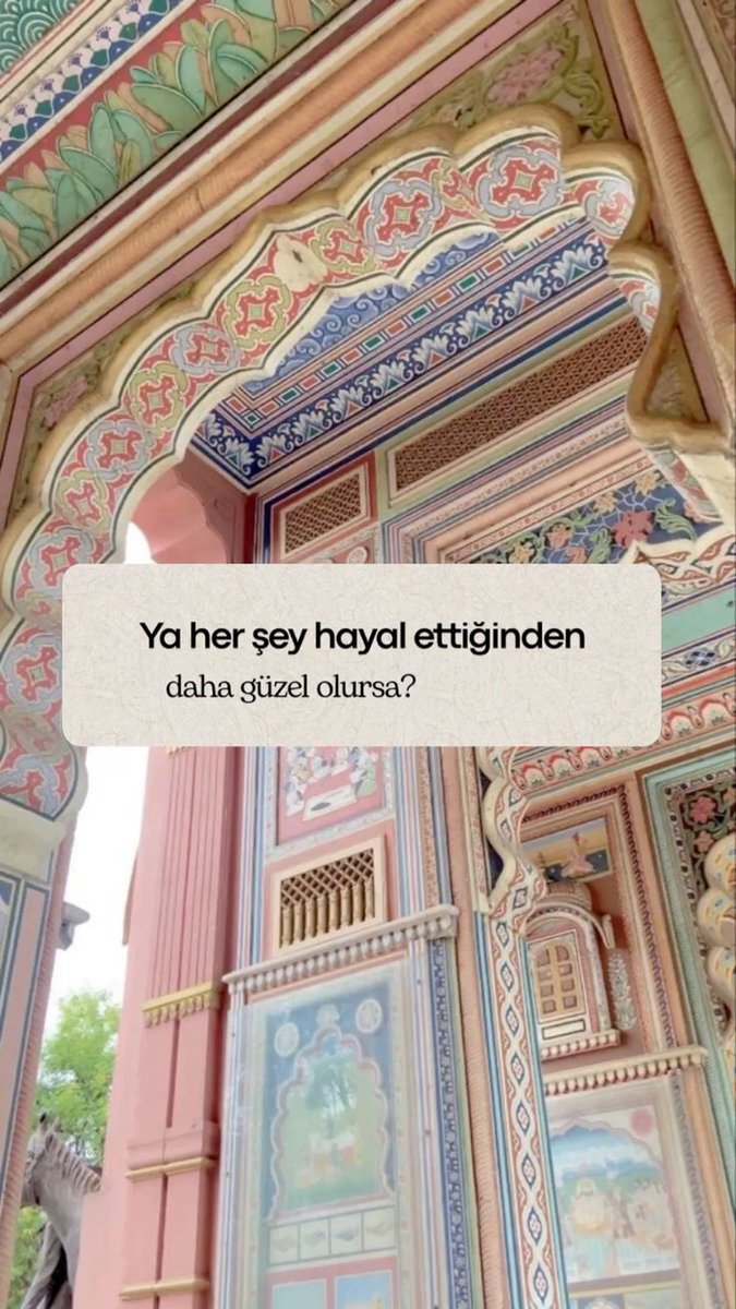 Ardıç Kuşu (@ardiskusu) on Twitter photo 