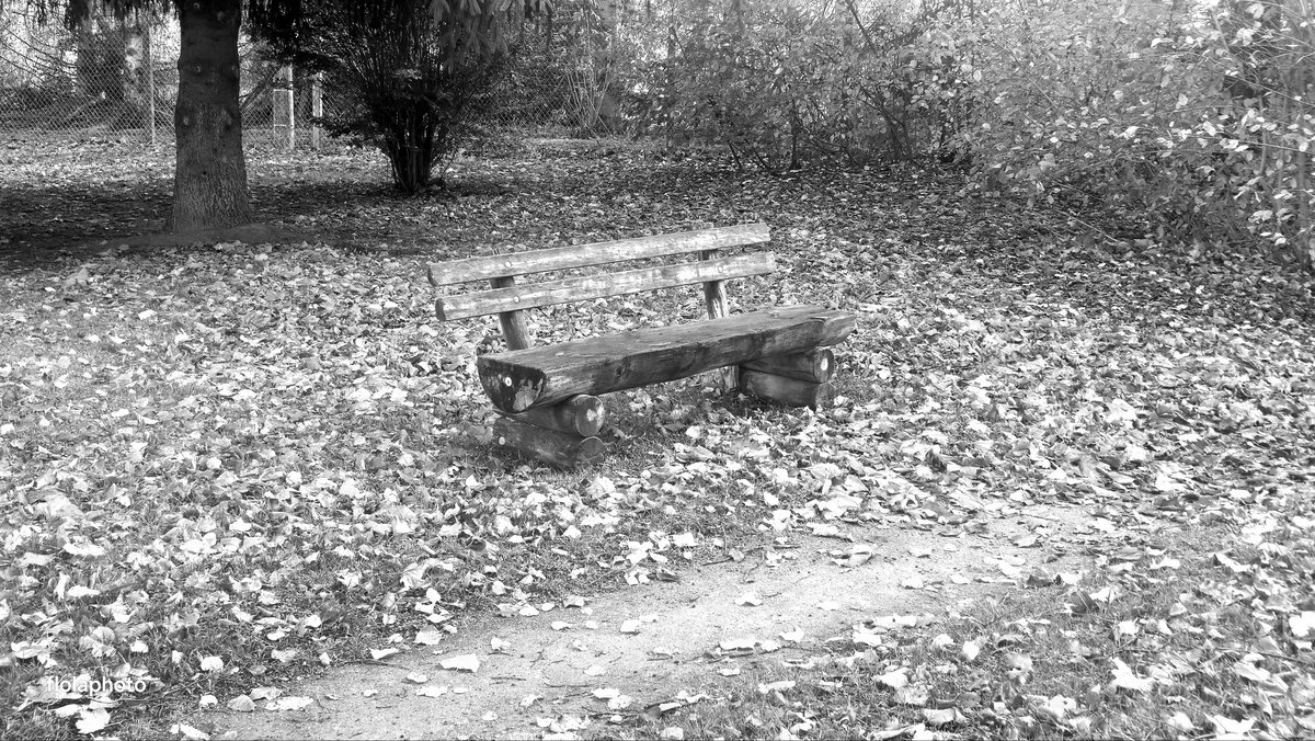 FlorentDuquenn1's tweet image. #printemps