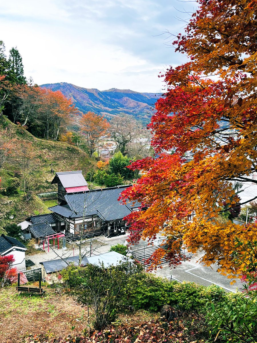 softhand61's tweet image. カッパ推しの街の紅葉、見ごろ