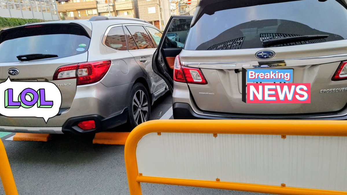 モモンガ亀インコ👺🍖🐁⸒⸒🐢🕊‎ on X