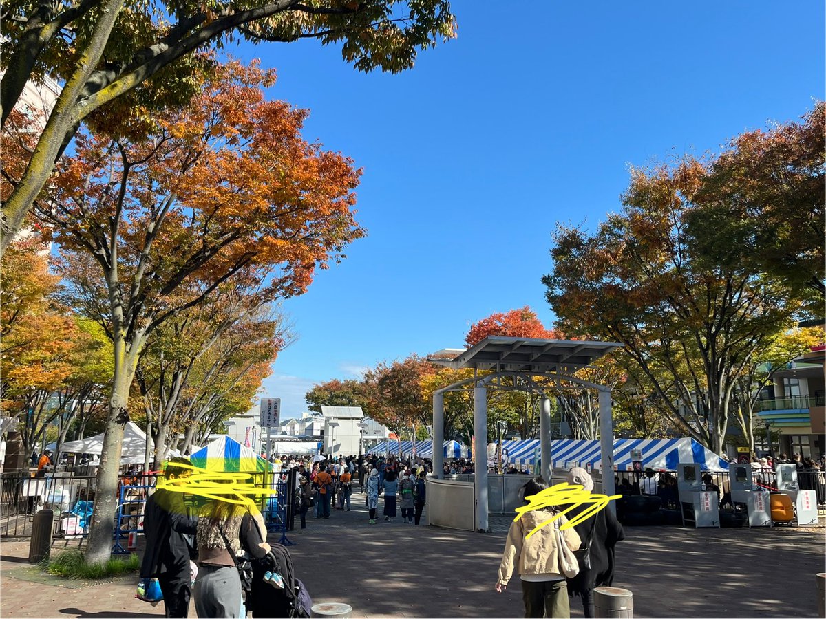 白 猴@shirozaru on X