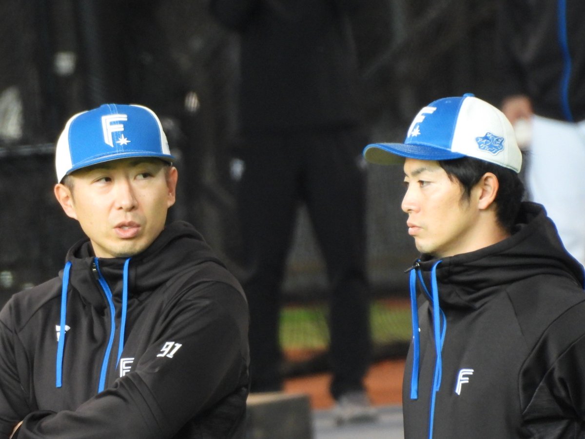 🐅おさかな姉やん🐿️ on X