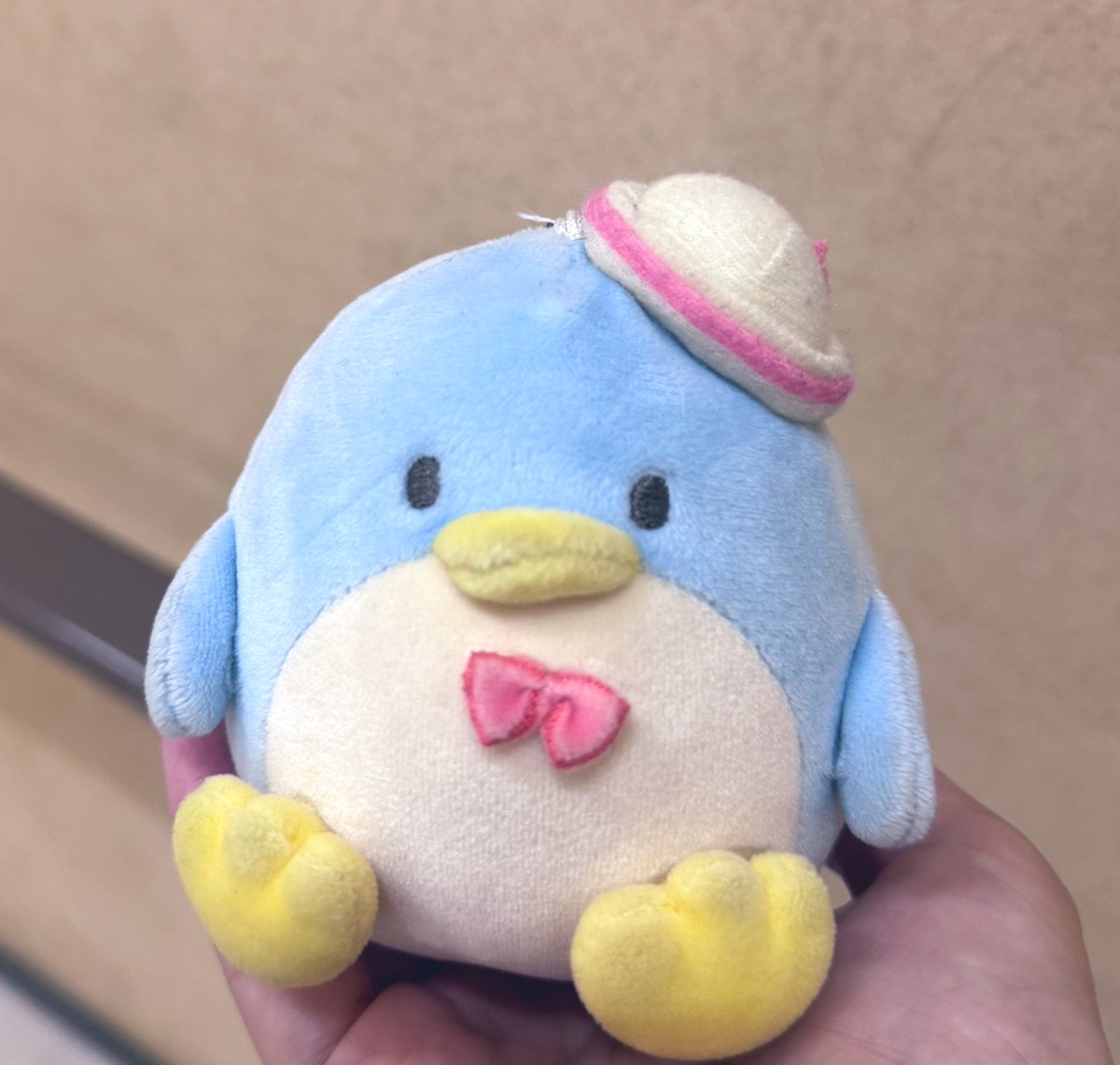 ちゃむまろ (@ZZw75IfJp5lYZ9Z) / Posts / X