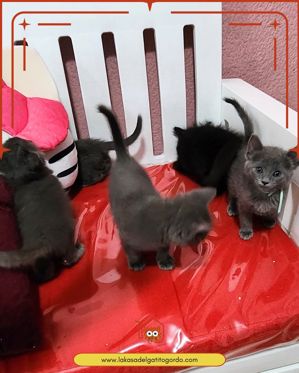 Hasta mañana Karens

Bye!