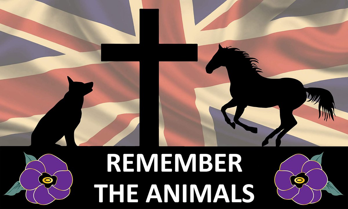 JulesL55's tweet image. #Lestweforget #animalsofwar #AnimalLovers