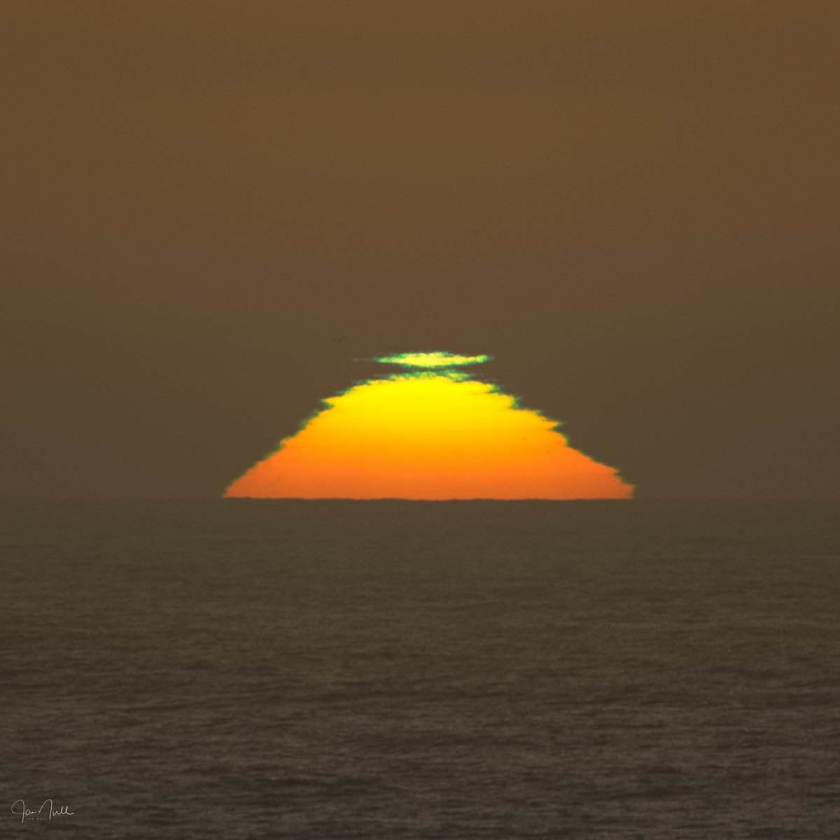 Jan Null tweet media