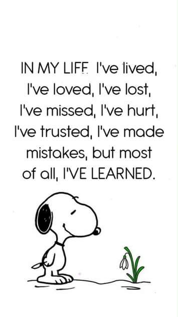 Bark & Love (@barklove2) on Twitter photo 