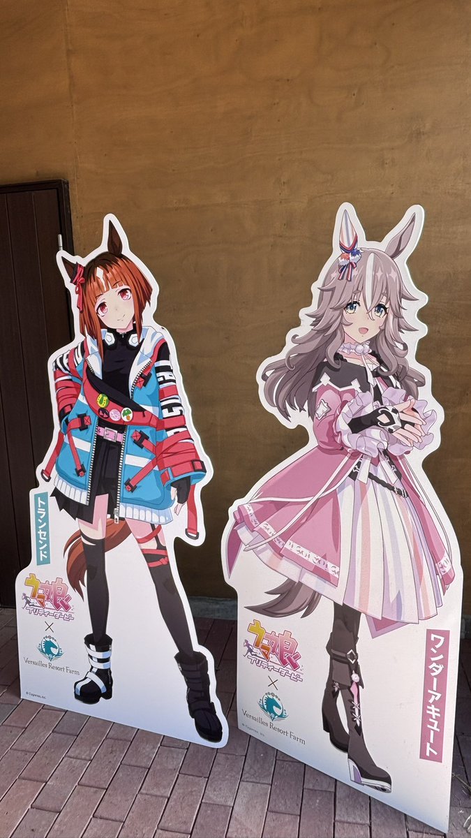 にゃんたろう にゃんたろう (@nyan903) / Posts / X