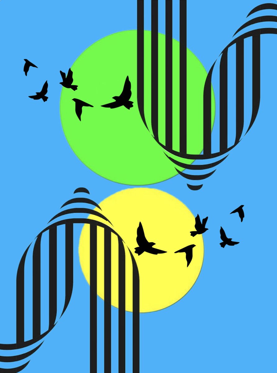 Real_galleryf's tweet photo. @76Wizardhat Hi
New design
Flight
By me https://t.co/PRH04hKtY0