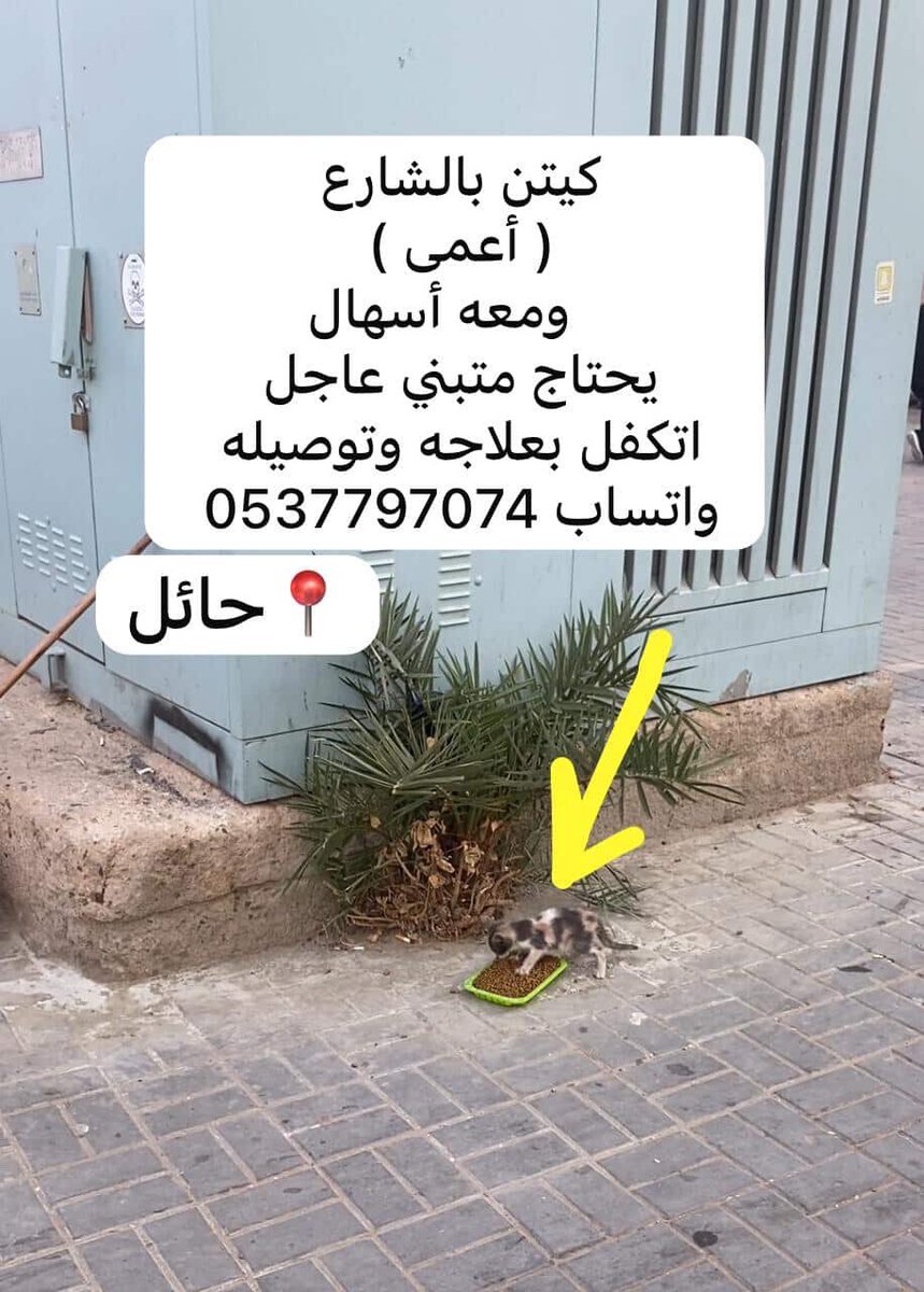 faiza abdulla (@foofofaiza) on Twitter photo 