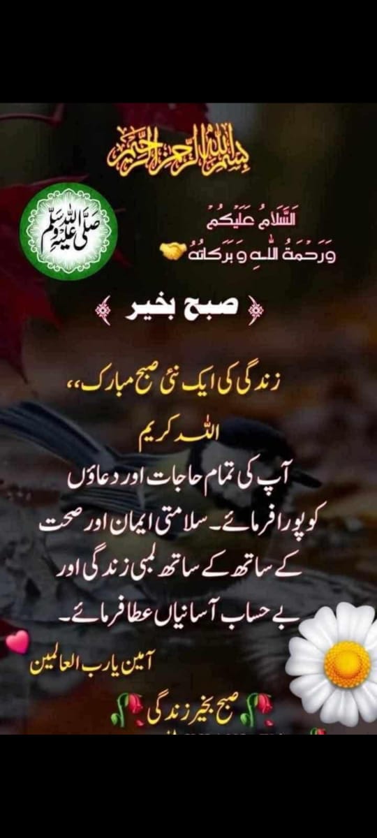 Imran noman (@noman13648) on Twitter photo 