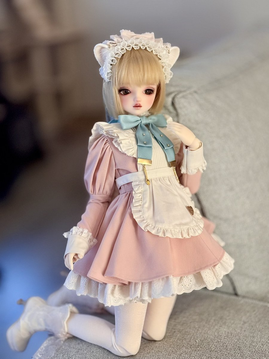 海外作家様作　アートドール　ハイエナの子供 アードウルフ(仔) 28 | HANSA