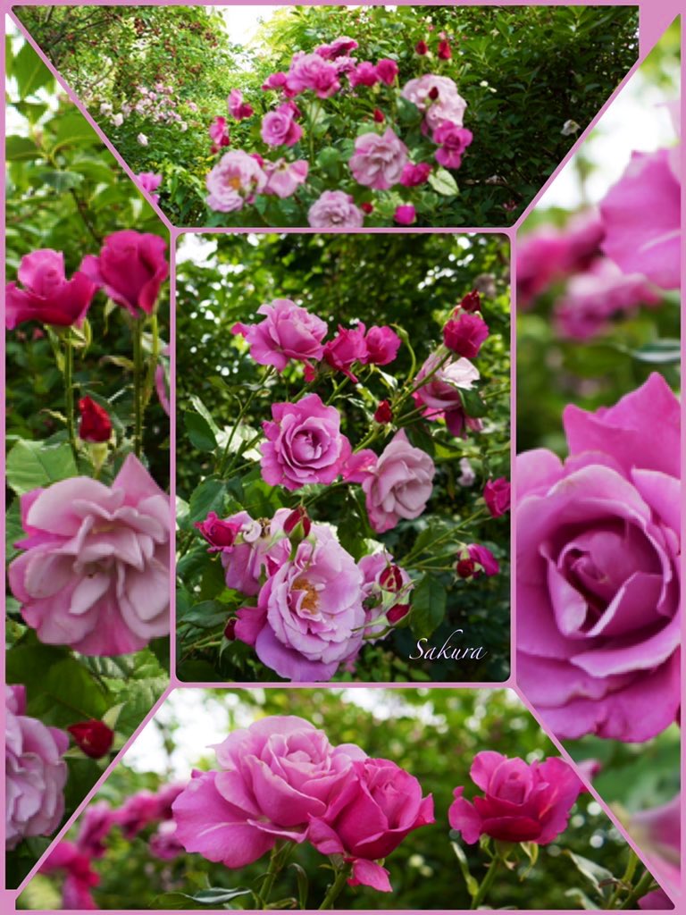 Cherryさま専用4月（原画）花がささやく春夜 ほか　6点おまとめ あまざわ on X