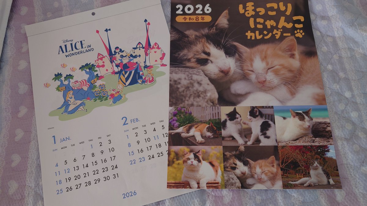 猫中毒 新品 未開封 テゴマス／猫中毒（初回盤B） CD+DVD - メルカリ