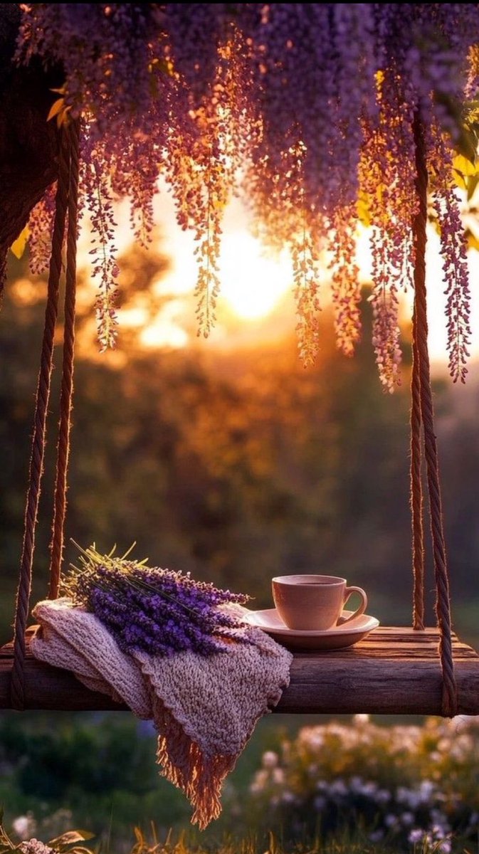 ليس في قلبي ازدحام…
لكنّي أختار بعناية من يسكن قرب الضوء. 🌟

#صباح_الخير
#صباح_الأشياء_المُشرقة