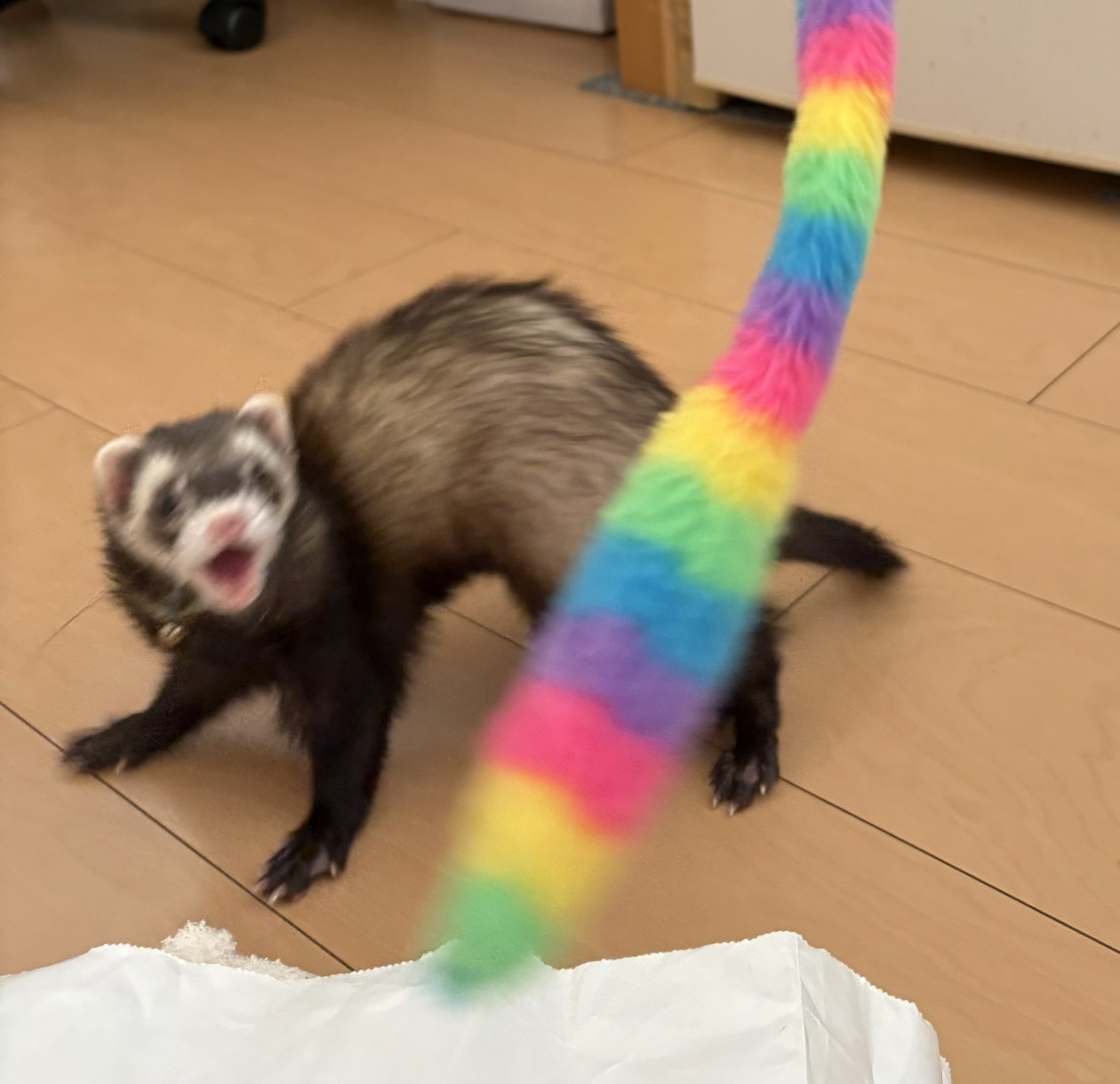 ちょこ　⭐︎ maxresdefault.jpg