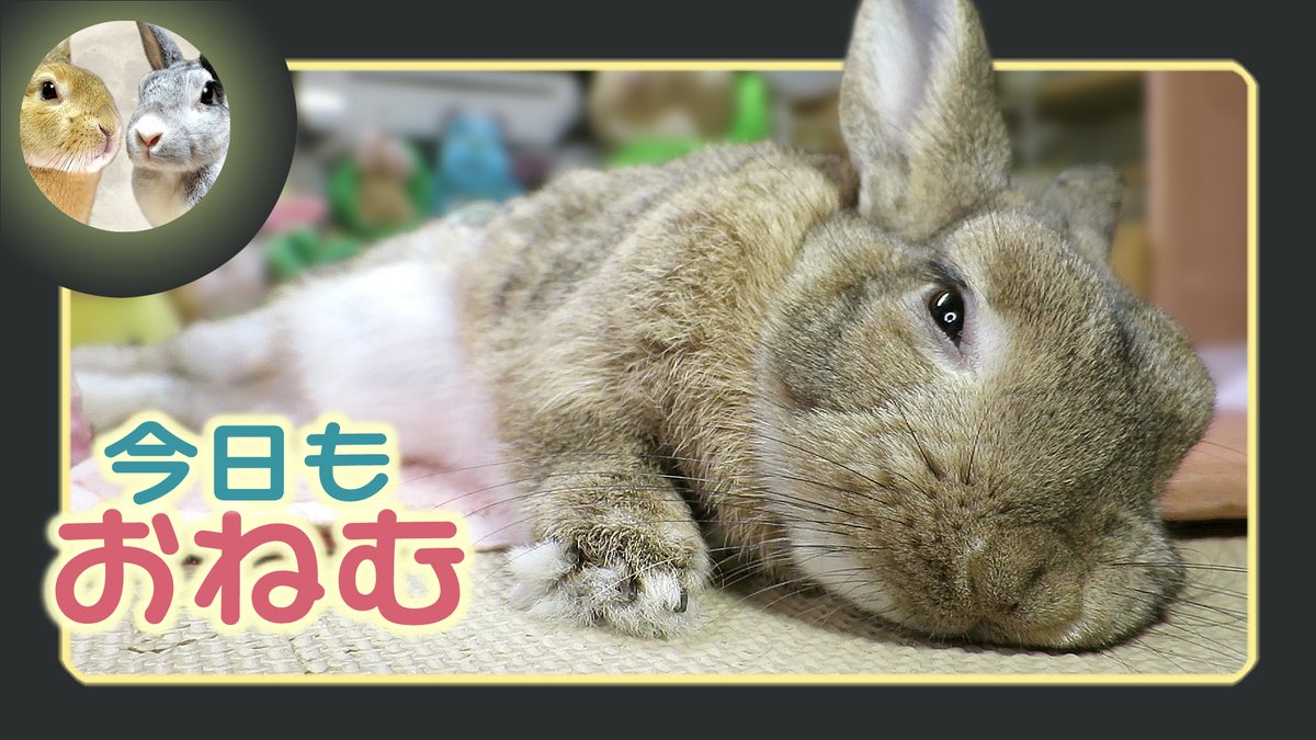 月うさぎ だいだい&アスカ先輩 on X