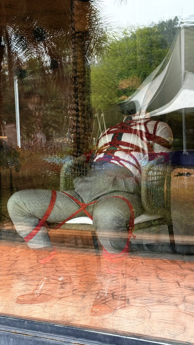 Robin✨張子軒 tweet media