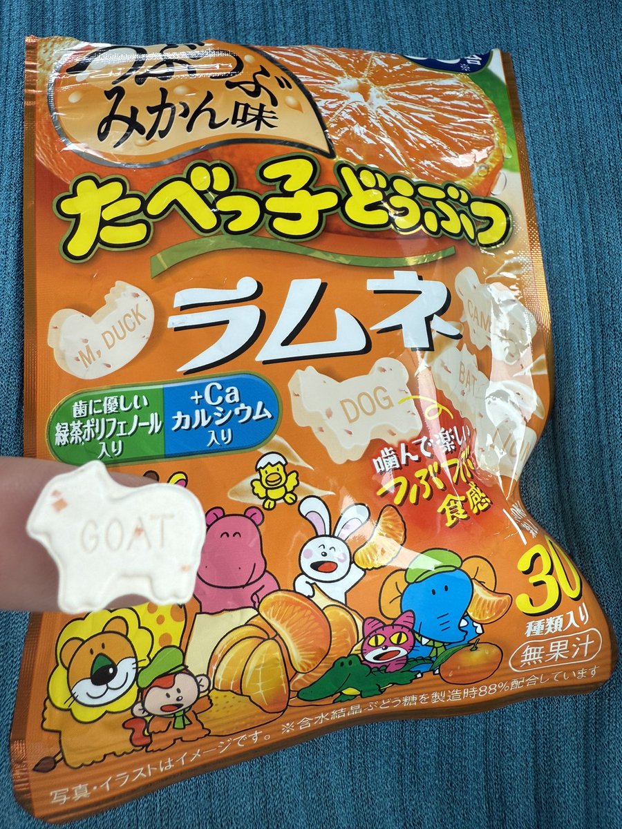 kanahebi様 ニホンカナヘビ Takydromus tachydromoides Schlegel, 1838 - 島根