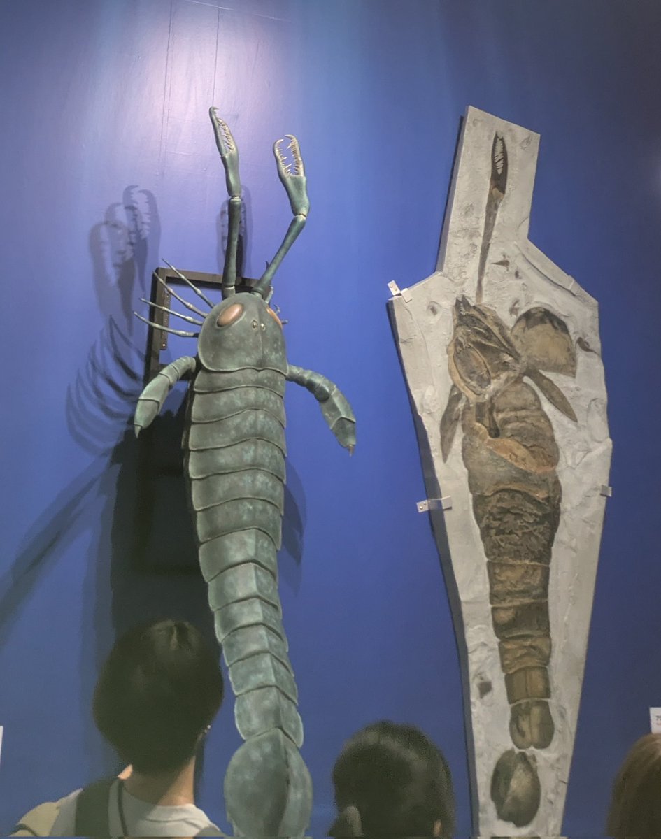 令和がサカバンバスピスなら、昭和の子供はウミサソリのデカさに魅力を感じていたと思うんだ。