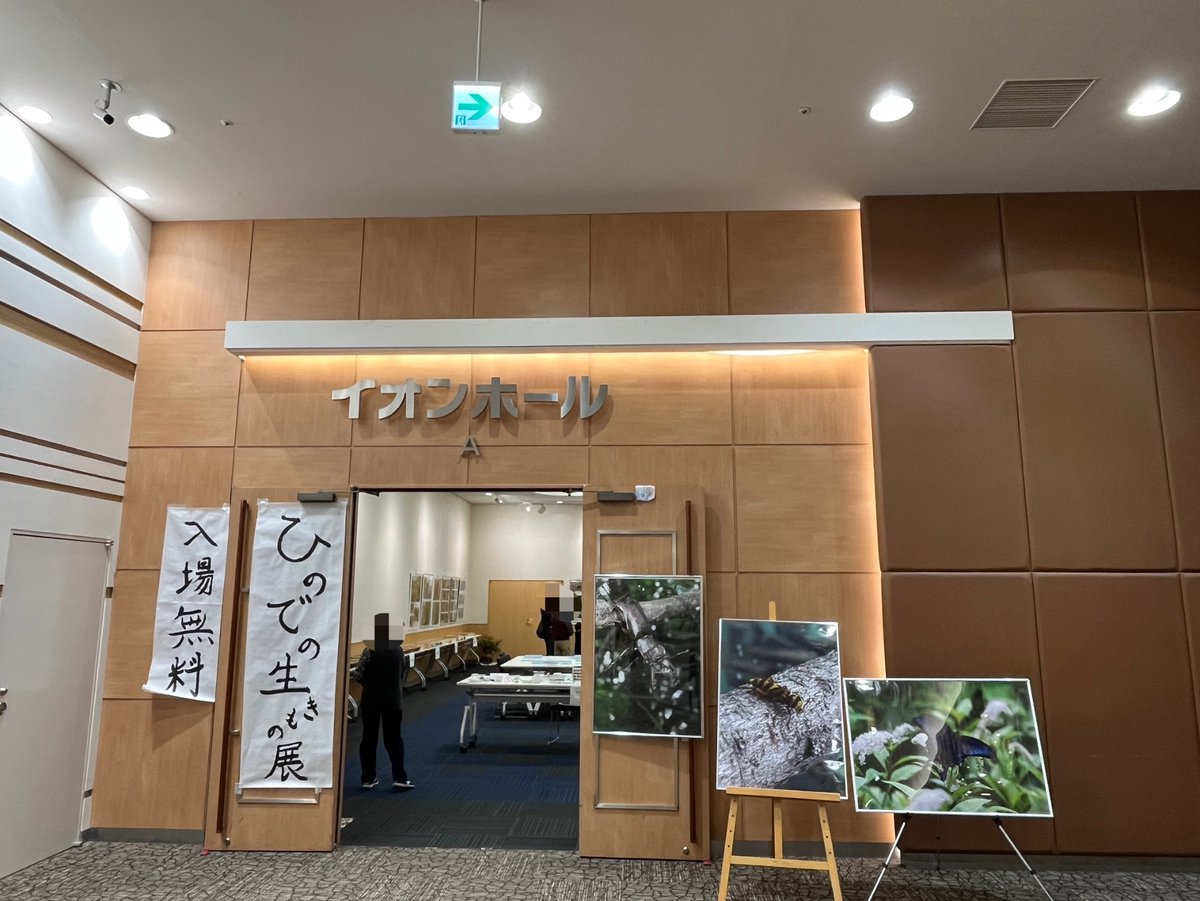 展示会最終日です！！