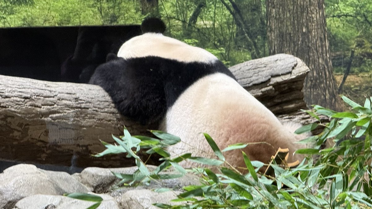 マミ (@0147mami) / Posts / X