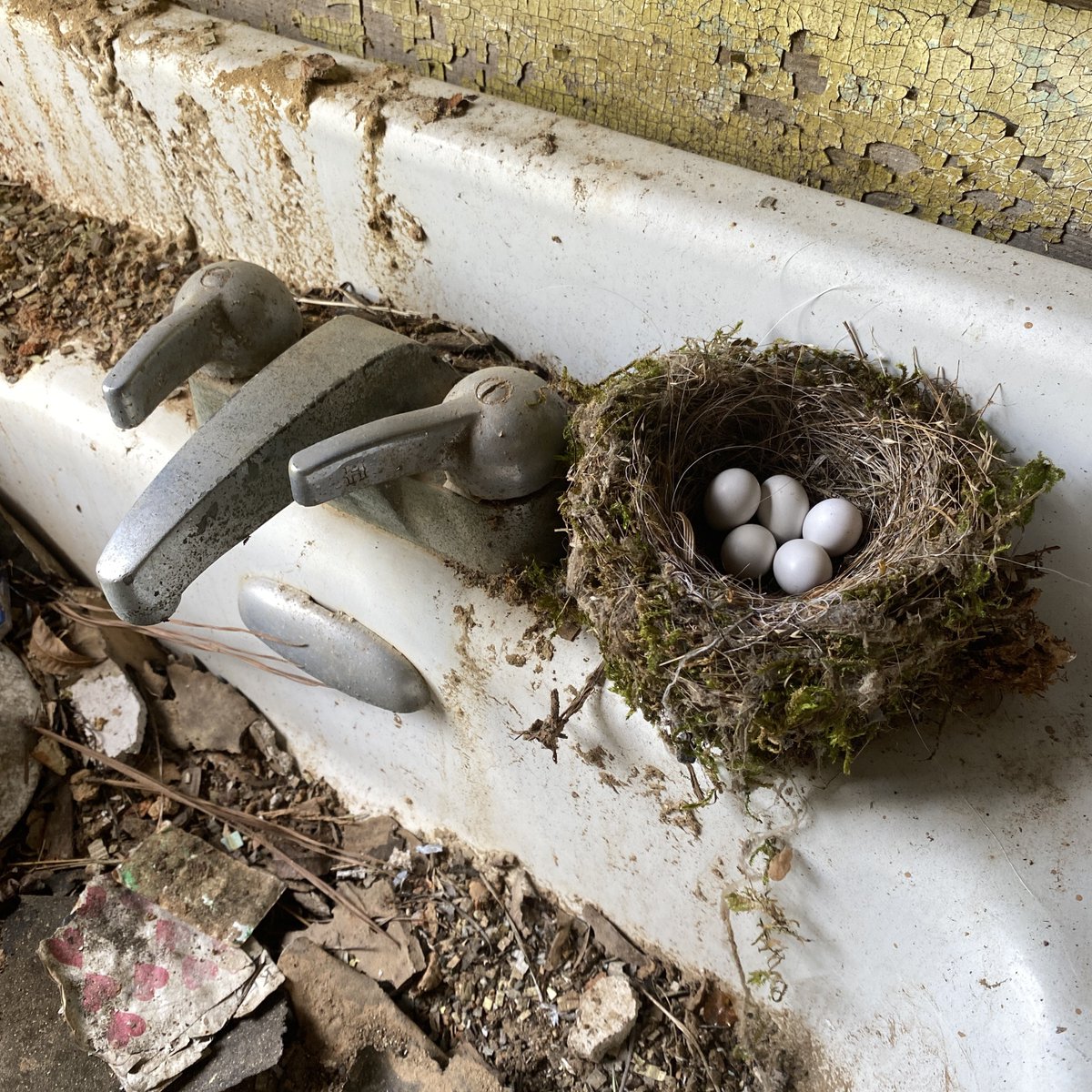 Post a photo you LOVE ❤️