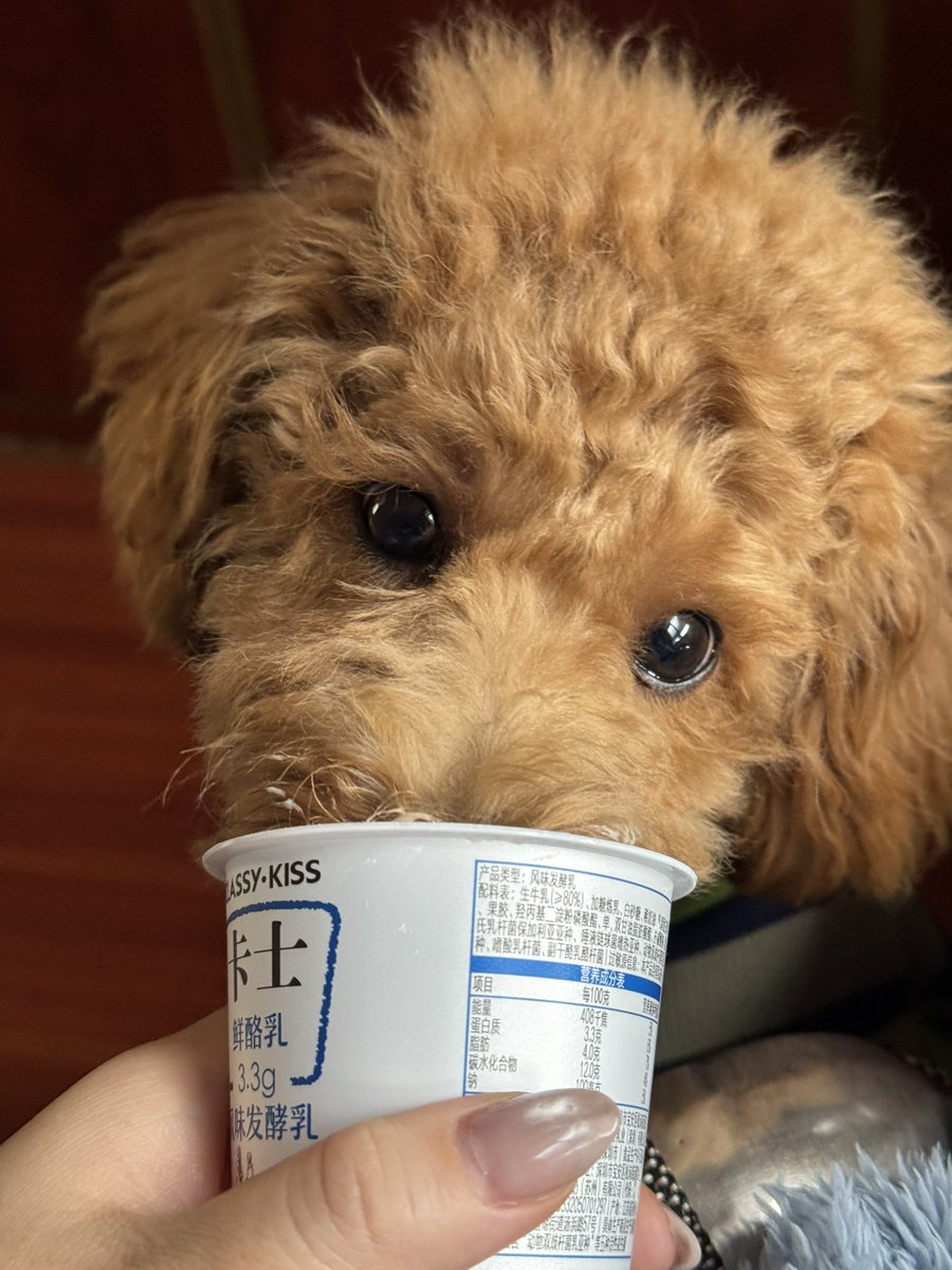 fayfay__7's tweet image. 