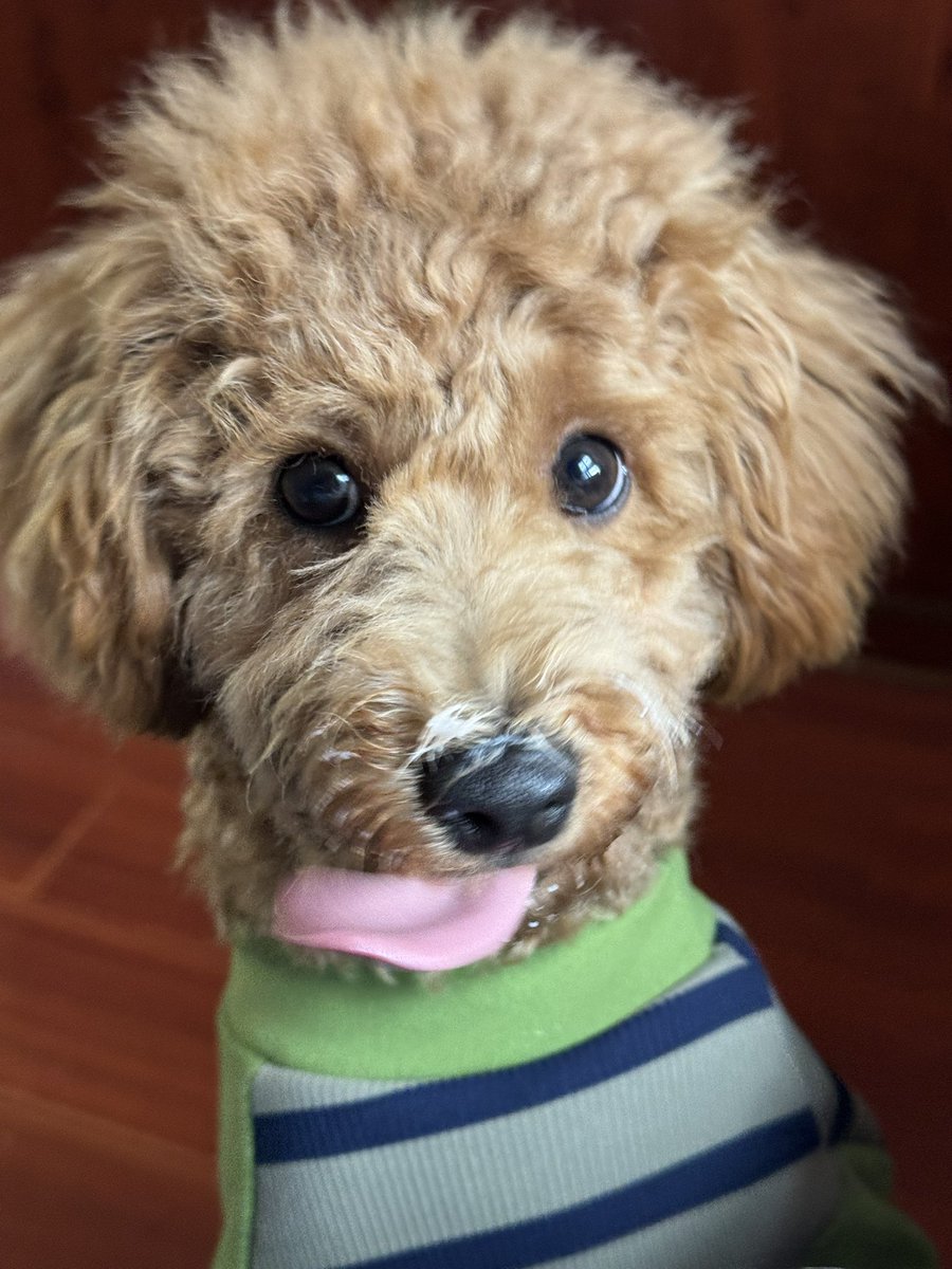 fayfay__7's tweet image. 