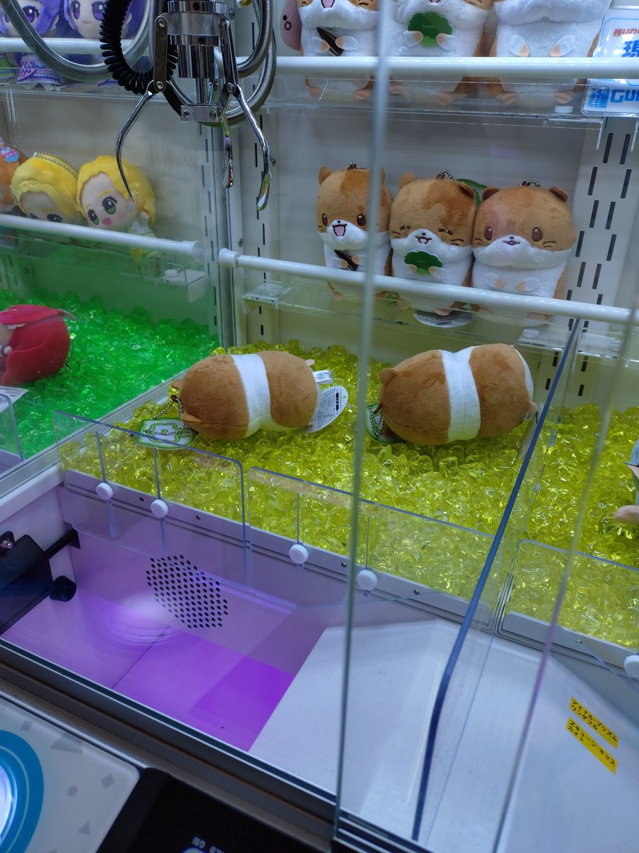 ひまちゃあああん😭(苦戦中)