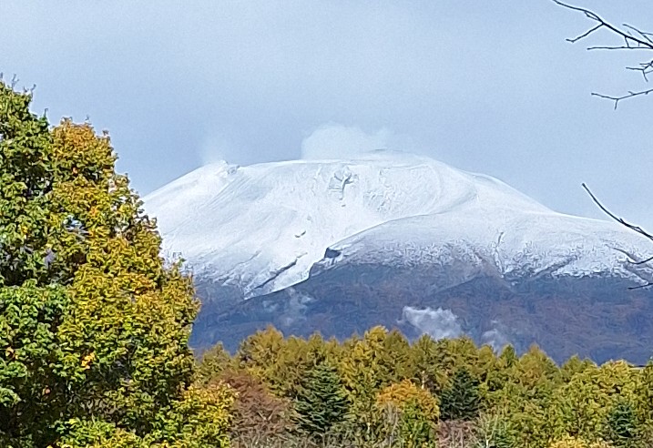 軽井沢高原文庫 tweet media