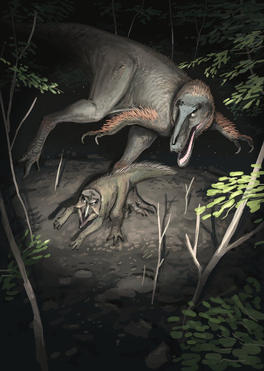 Results from the Nanotyrannus #Paleostream! 
First two are N. lancensis, 3 and 4 are N. lethaeus. 
You might notice some paleoart homages here ;)