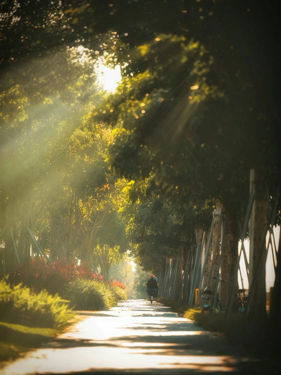 greenvibe's tweet image. 