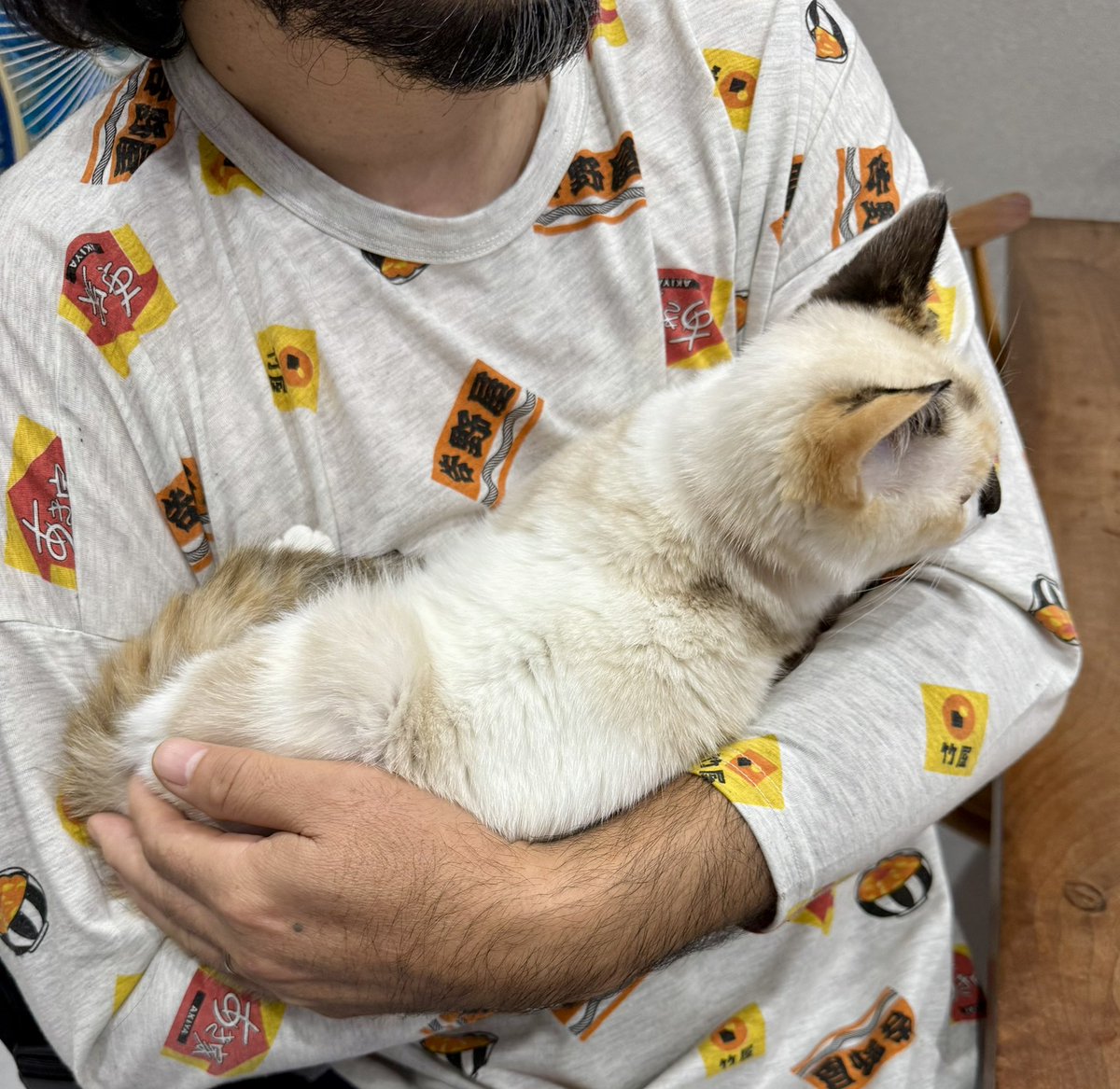 ネコを見ていたいのに、旦那のロンTの破壊力が強すぎて。