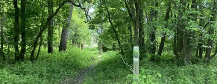 🌿Greenspace Update Is Here
 The Greenspace and Natural Corridors Plan and Biodiversity Policy Update report is available at the Standing Policy Committee on Community Services Agenda, November 4,  Item #7. 
🔗 clkapps.winnipeg.ca/DMIS/permalink…