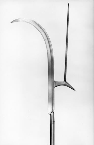 Ceri J Phillips 🏴󠁧󠁢󠁷󠁬󠁳󠁿🌲 tweet media