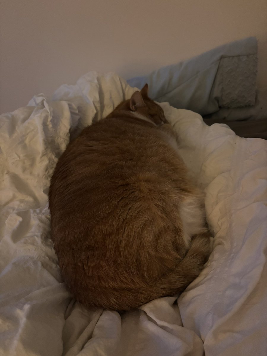 JadaJms71's tweet photo. He is shaped like seal https://t.co/Pyn2qNKLek