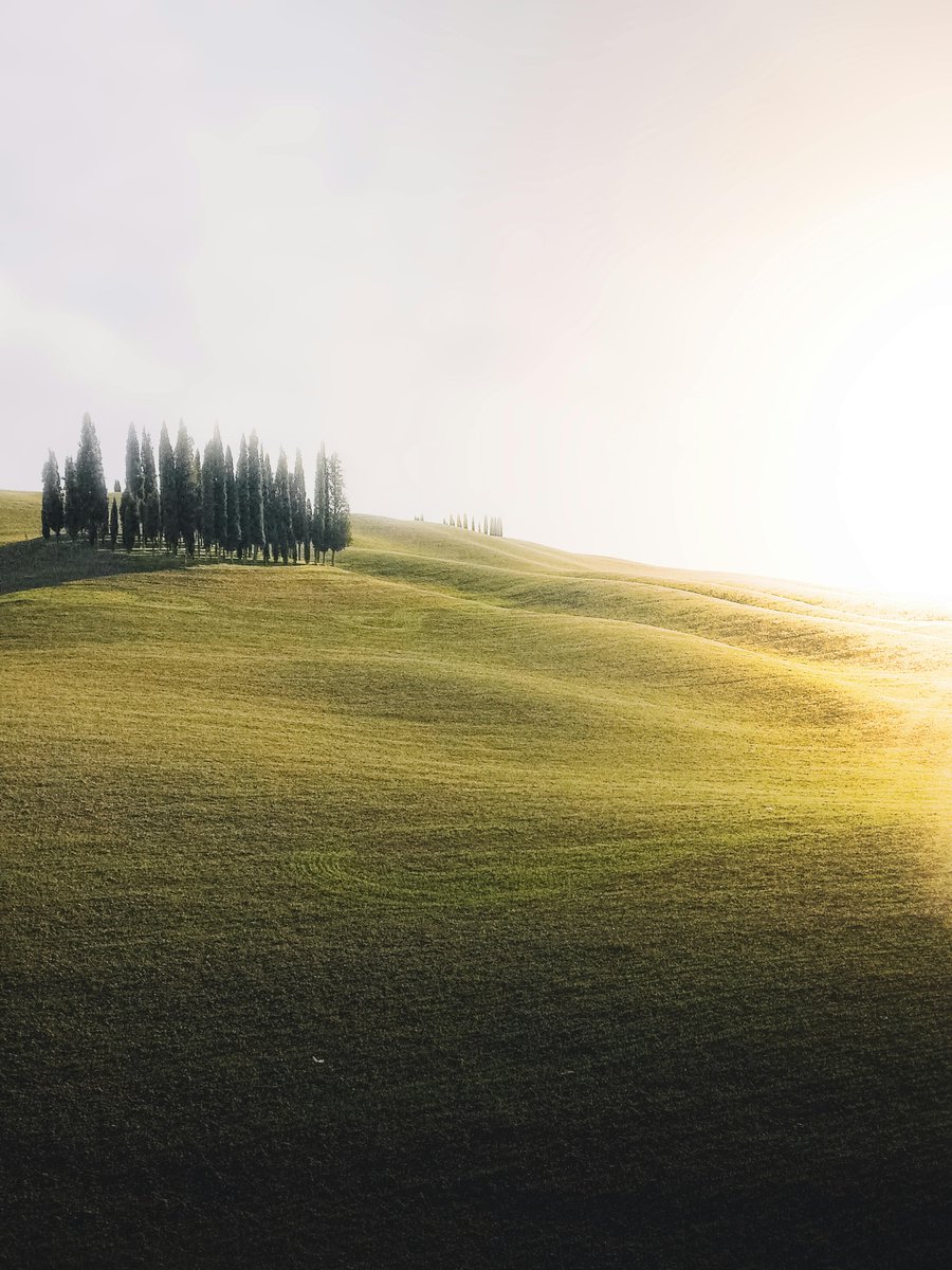 purenature_1's tweet image. Calming nature 🌲🥬 #refresh #relax