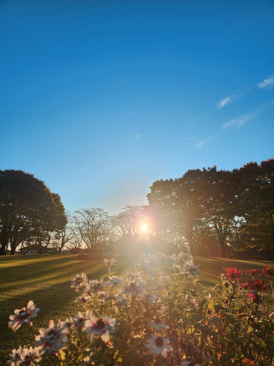 来夢 (@k2kBcTiP82T4D13) / Posts / X