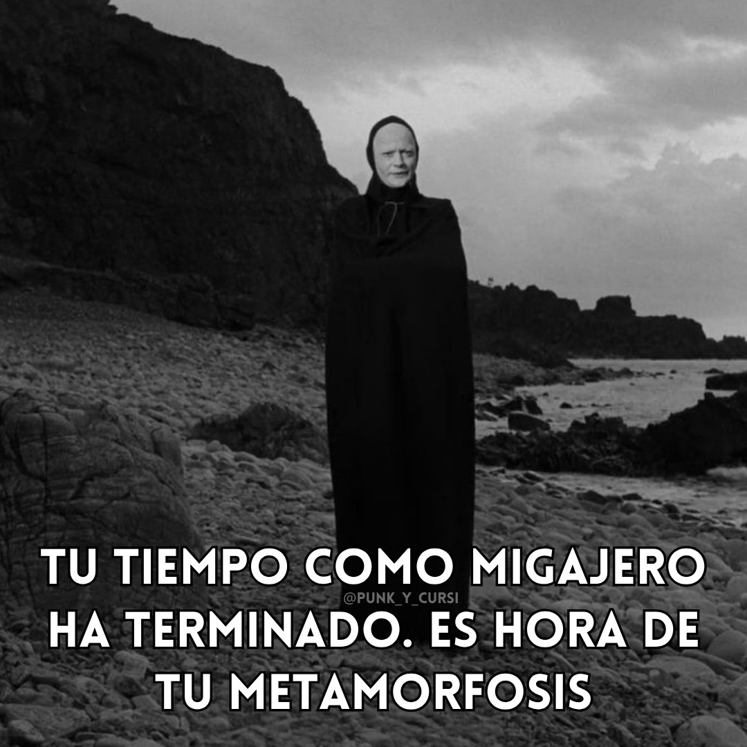 punk_y_cursi's tweet image. 🐦‍⬛🐦‍⬛🐦‍⬛🐦‍⬛