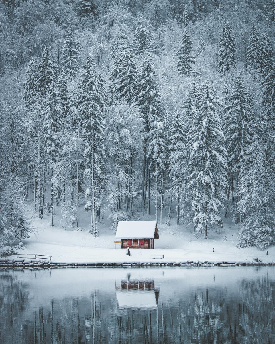 purenature_1's tweet image. Winter lifestyle ❄️🥶🏡 #snow #forest