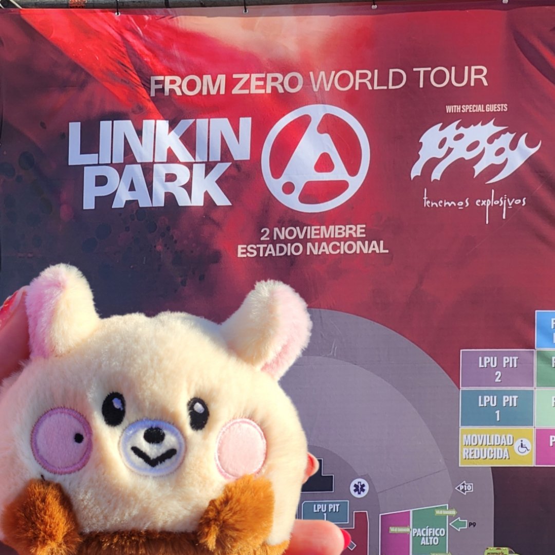 ₊ ۪ ׄ໑୧ ׅ𖥔ׄ tweet media